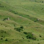 A herd of sheep grazing on a lush green hillside