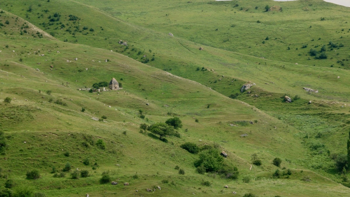 A herd of sheep grazing on a lush green hillside